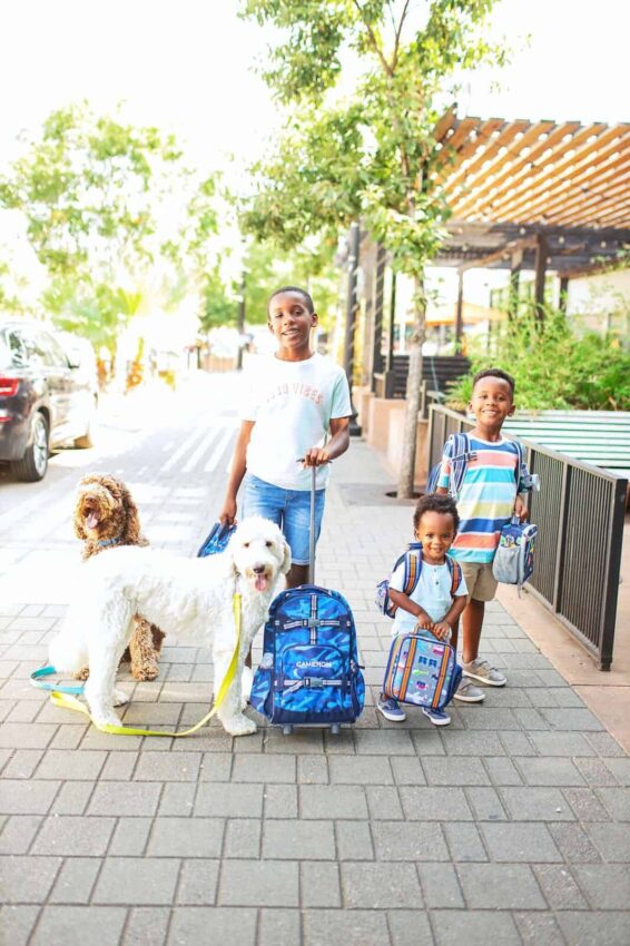 Pottery Barn Kids Back to School Essentials featured by top US life and style blog, Glamorous Versatility